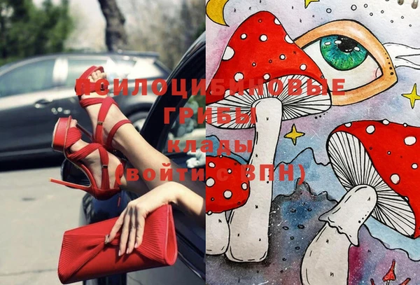 прущая мука Баксан
