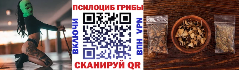 Галлюциногенные грибы прущие грибы  купить наркоту  Чекалин 